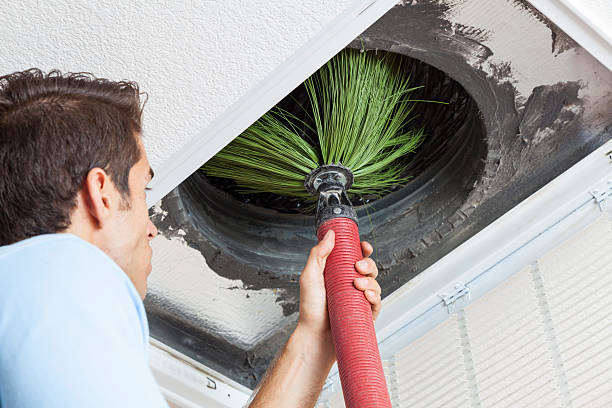 Best Air Duct Cleaning Near Me  in Homosassa Springs, FL